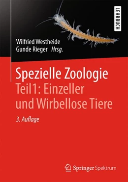 Abbildung von Westheide / Rieger | Spezielle Zoologie. Teil 1: Einzeller und Wirbellose Tiere | 3. Auflage | 2013 | beck-shop.de