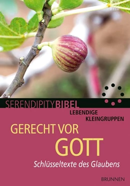Abbildung von Riecker | Gerecht vor Gott | 1. Auflage | 2015 | beck-shop.de