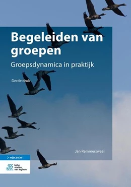 Abbildung von Remmerswaal | Begeleiden van groepen | 3. Auflage | 2015 | beck-shop.de