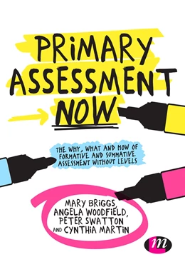Abbildung von Briggs / Woodfield | Primary Assessment Now | 3. Auflage | 2026 | beck-shop.de