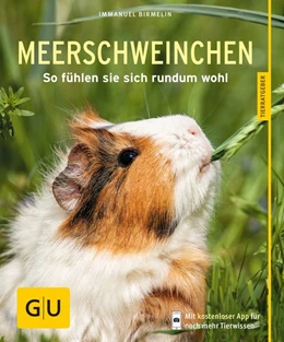 Abbildung von Birmelin | Meerschweinchen | 1. Auflage | 2014 | beck-shop.de