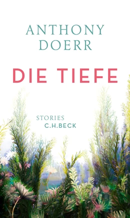 Abbildung von Doerr, Anthony | Die Tiefe | 1. Auflage | 2017 | beck-shop.de