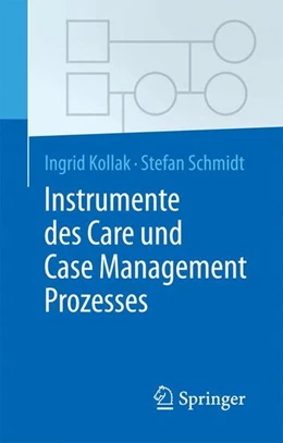 Abbildung von Kollak / Schmidt | Instrumente des Care und Case Management Prozesses | 1. Auflage | 2015 | beck-shop.de