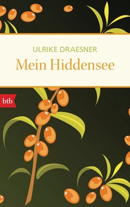 Abbildung von Draesner | Mein Hiddensee | 1. Auflage | 2017 | beck-shop.de