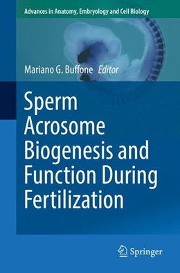 Abbildung von Buffone | Sperm Acrosome Biogenesis and Function During Fertilization | 1. Auflage | 2016 | beck-shop.de