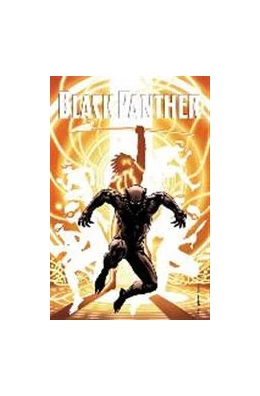 Abbildung von Coates / Marvel Various | Black Panther: A Nation Under Our Feet, Book 2 | 1. Auflage | 2017 | beck-shop.de