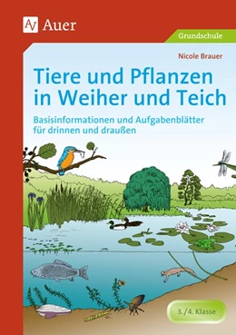 Abbildung von Brauer | Tiere und Pflanzen in Weiher und Teich | 3. Auflage | 2016 | beck-shop.de