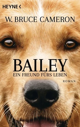 Abbildung von Cameron | Bailey - Ein Freund fürs Leben | 1. Auflage | 2017 | beck-shop.de