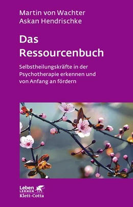 Abbildung von Wachter / Hendrischke | Das Ressourcenbuch | 1. Auflage | 2017 | beck-shop.de