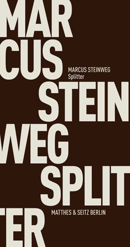 Abbildung von Steinweg | Splitter | 1. Auflage | 2017 | beck-shop.de