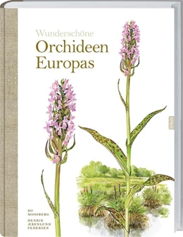 Abbildung von Mossberg / Pedersen | Wunderschöne Orchideen Europas | 1. Auflage | 2017 | beck-shop.de