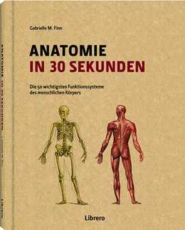 Abbildung von Finn | Anatomie in 30 Sekunden | 1. Auflage | 2017 | beck-shop.de