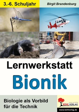 Abbildung von Brandenburg | Lernwerkstatt Bionik | 1. Auflage | 2017 | beck-shop.de