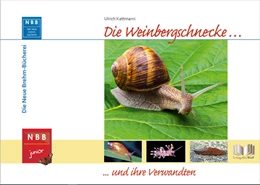 Abbildung von Kattmann | Die Weinbergschnecke und ihre Verwandten | 1. Auflage | 2017 | beck-shop.de