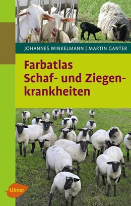 Abbildung von Winkelmann / Ganter | Farbatlas Schaf- und Ziegenkrankheiten | 2. Auflage | 2017 | beck-shop.de