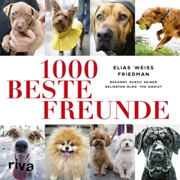 Abbildung von Friedman | 1000 beste Freunde | 1. Auflage | 2017 | beck-shop.de