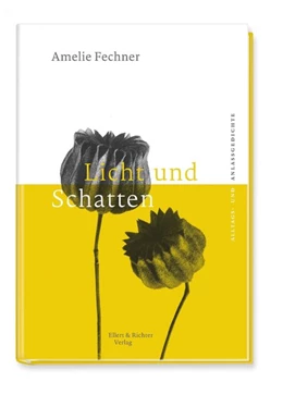 Abbildung von Fechner | Licht und Schatten | 1. Auflage | 2017 | beck-shop.de