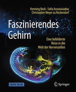 Abbildung von Beck / Anastasiadou | Faszinierendes Gehirn | 2. Auflage | 2018 | beck-shop.de