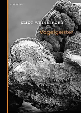 Abbildung von Weinberger | Vogelgeister | 1. Auflage | 2017 | beck-shop.de