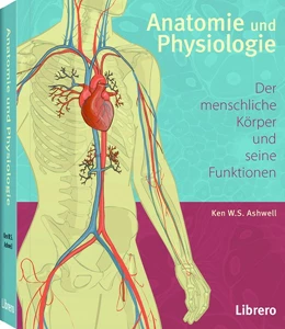 Abbildung von Ashwell | Anatomie und Physiologie | 1. Auflage | 2017 | beck-shop.de