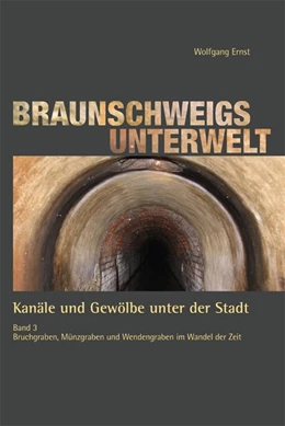 Abbildung von Ernst | Braunschweigs Unterwelt 3 | 1. Auflage | 2017 | beck-shop.de