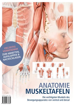 Abbildung von Anatomie-Muskeltafeln | 1. Auflage | 2017 | beck-shop.de