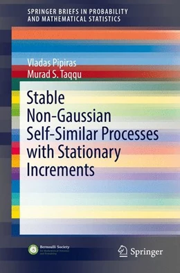 Abbildung von Pipiras / Taqqu | Stable Non-Gaussian Self-Similar Processes with Stationary Increments | 1. Auflage | 2017 | beck-shop.de