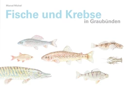 Abbildung von Michel | Fische und Krebse in Graubünden | 1. Auflage | 2017 | beck-shop.de