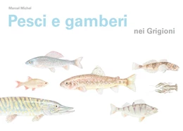 Abbildung von Michel | Pesci e gamberi nei Grigioni | 1. Auflage | 2017 | beck-shop.de