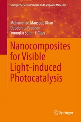 Abbildung von Khan / Pradhan | Nanocomposites for Visible Light-induced Photocatalysis | 1. Auflage | 2017 | beck-shop.de