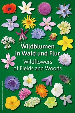 Abbildung von Wildblumen in Wald und Flur | 1. Auflage | 2017 | beck-shop.de