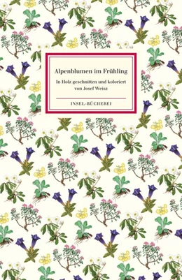 Abbildung von Alpenblumen im Frühling | 1. Auflage | 2018 | beck-shop.de