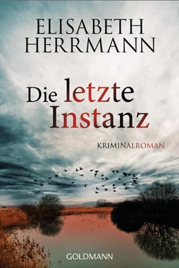 Abbildung von Herrmann | Die letzte Instanz | 1. Auflage | 2018 | beck-shop.de