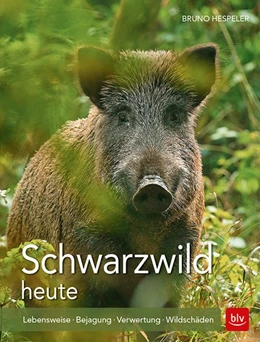 Abbildung von Hespeler | Schwarzwild heute | 1. Auflage | 2018 | beck-shop.de