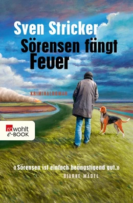 Abbildung von Stricker | Sörensen fängt Feuer | 1. Auflage | 2018 | beck-shop.de