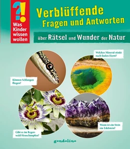 Abbildung von Was Kinder wissen wollen: Verblüffende Fragen und Antworten über Rätsel und Wunder der Natur | 1. Auflage | 2018 | beck-shop.de