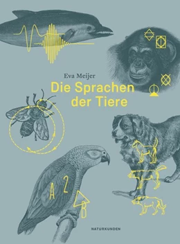 Abbildung von Meijer / Schalansky | Die Sprachen der Tiere | 1. Auflage | 2018 | beck-shop.de