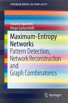 Abbildung von Squartini / Garlaschelli | Maximum-Entropy Networks | 1. Auflage | 2017 | beck-shop.de
