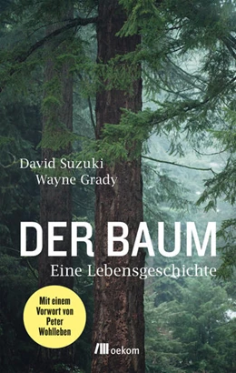 Abbildung von Suzuki / Grady | Der Baum | 1. Auflage | 2018 | beck-shop.de