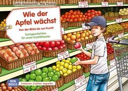 Abbildung von Hauenschild | Wie der Apfel wächst. Von der Blüte bis zur Frucht. Kamishibai Bildkartenset. | 1. Auflage | 2017 | beck-shop.de