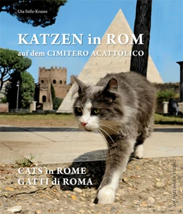 Abbildung von Katzen in Rom / Cats in Rome / Gatti di Roma | 1. Auflage | 2018 | beck-shop.de