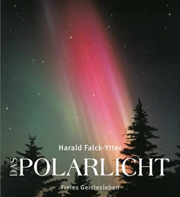 Abbildung von Falck-Ytter | Das Polarlicht | 4. Auflage | 2018 | beck-shop.de