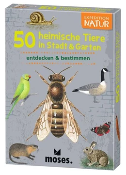 Abbildung von Kessel | Expedition Natur. 50 heimische Tiere in Stadt & Garten | 1. Auflage | 2018 | beck-shop.de