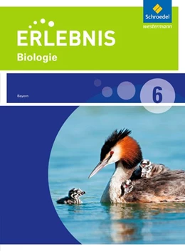 Abbildung von Erlebnis Biologie 6. Schulbuch. Realschule. Bayern | 1. Auflage | 2018 | beck-shop.de