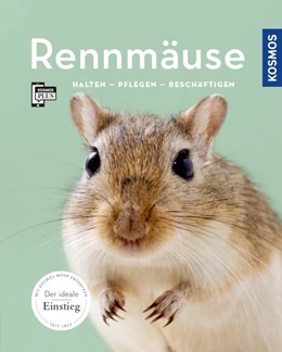 Abbildung von Steinkamp | Rennmäuse | 1. Auflage | 2018 | beck-shop.de