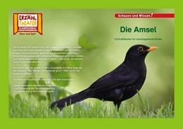 Abbildung von Kamishibai: Die Amsel | 1. Auflage | 2018 | beck-shop.de