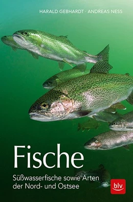 Abbildung von Gebhardt / Ness | Fische | 1. Auflage | 2018 | beck-shop.de