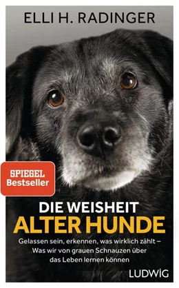 Abbildung von Radinger | Die Weisheit alter Hunde | 1. Auflage | 2018 | beck-shop.de