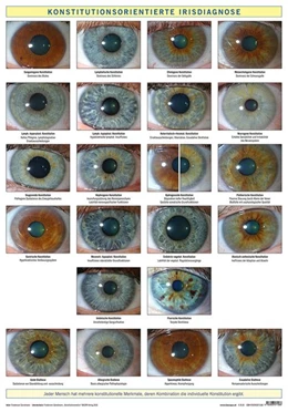 Abbildung von Garvelmann | Konstitutionsorientierte Irisdiagnose | 1. Auflage | 2019 | beck-shop.de