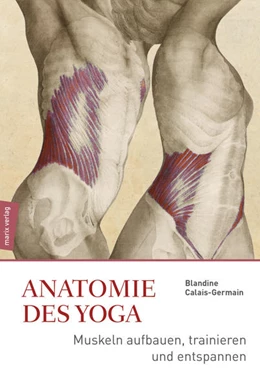 Abbildung von Calais-Germain | Anatomie im Yoga | 1. Auflage | 2018 | beck-shop.de